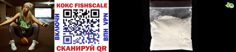 Купить закладки  Минеральные Воды  COCAIN Fish Scale 