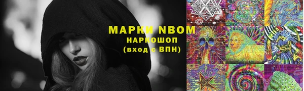 ешки Надым