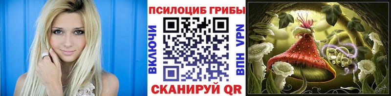 Псилоцибиновые грибы Cubensis  Купить где  Минеральные Воды 