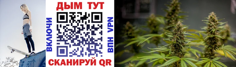 Каннабис конопля  Купить закладки  Минеральные Воды 
